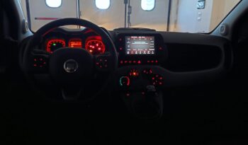 Fiat Panda  1.0 Firefly HYBRID  City Life s pieno