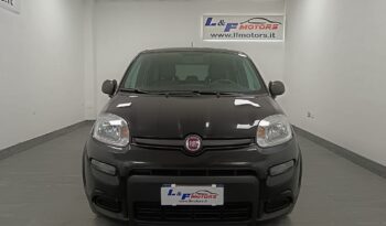 Fiat Panda  1.0 Firefly HYBRID  City Life s pieno